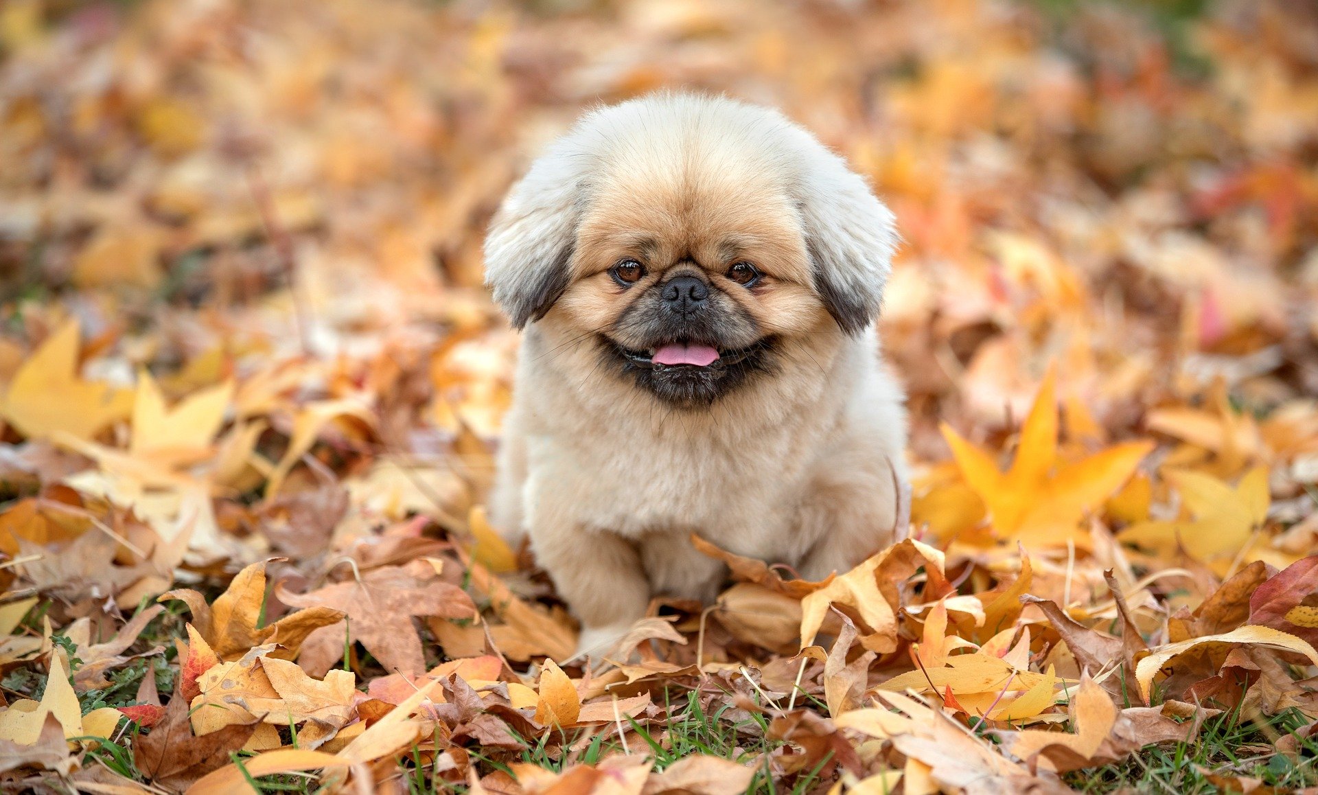 Tempore temporibus fuga voluptatum.